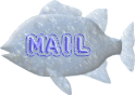 MAIL TO A